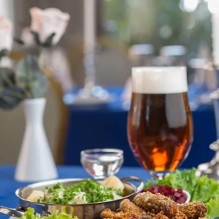 Hotel Dronninglund Hotel Dronninglund