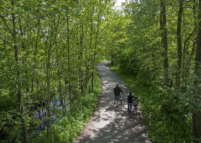 Dronninglund Hotel Hotell